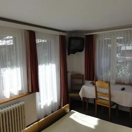 Otel Alfa Zermatt