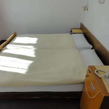 Alfa Otel Zermatt