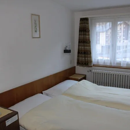 Hotel Alfa Zermatt