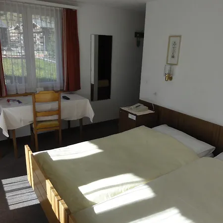 Hotell Alfa Zermatt